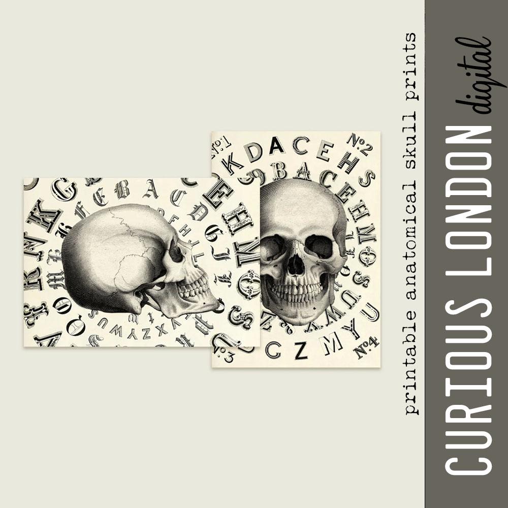 Victorian Skull Digital Art Prints: Printable Vintage Skeleton