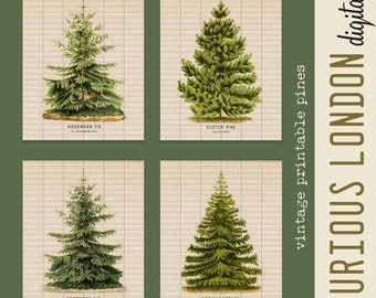 pine tree prints  I  christmas art  I  printable wall art  I  holiday decor  I  woodland christmas  I  digital prints  I  curiouslondon