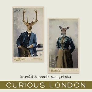 deer portraits I animals in clothes I anthropomorphic art I deer art I oddities I harold & maude I old photo I curiouslondon image 1