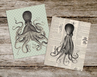 octopus art  |  deep sea creatures  |  nautical aesthetic  |  octopus prints  |  wall art  |  curiouslondon