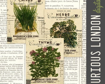 May include: Vintage seed packets for chives, herbs, and thyme. The packets feature illustrations of the plants and the text "Constant Guilbaud" with a price of 10 pence.