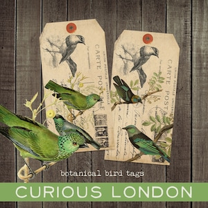 cadeaux uniques sur le thème des plantes et des oiseaux l Objets éphémères sur mesure pour la flore et la faune à offrir | esthétique botanique vintage | curieuxLondres
