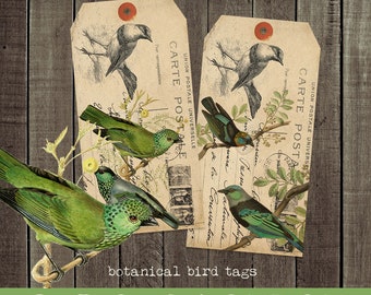 Vintage Style Antique Bird Gift Tags from Curious London with FREE SHIPPING