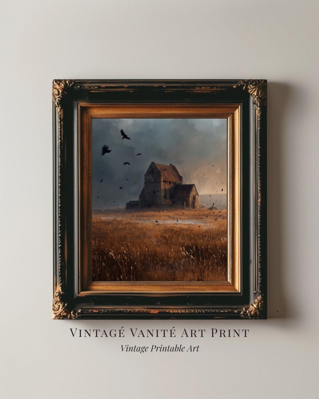 Marco De Película Fotográfica Del Grunge Quemado Viejo Vintage 35  Milímetros De Fondo De La Película Con El Espacio Para El Texto Ilustración  del Vector - Ilustración de tarjeta, grano: 117050590, image size:1080x1350