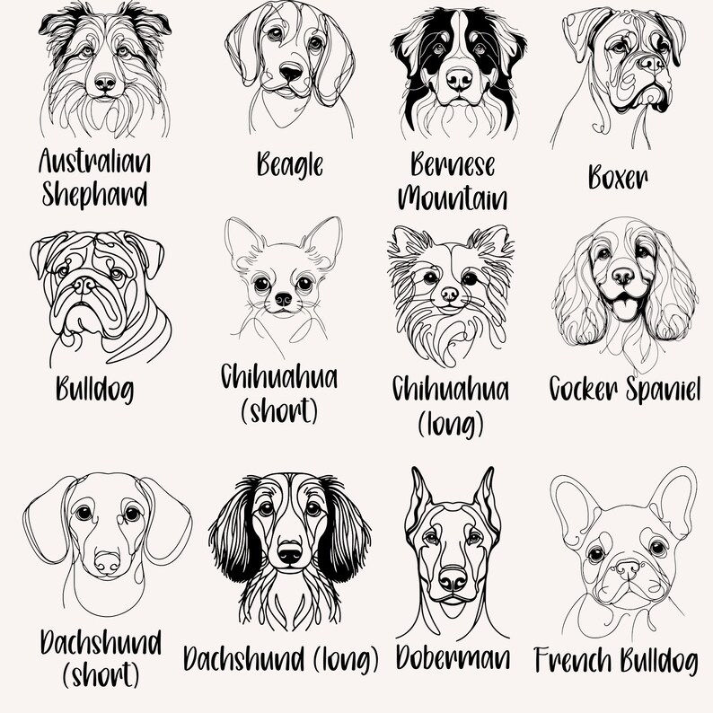 Puede incluir: Ilustraciones en blanco y negro de diversas razas de perros, incluyendo Pastor Australiano, Beagle, Boyero de Berna, Boxer, Bulldog, Chihuahua, Cocker Spaniel, Dachshund, Doberman y Bulldog Franc&eacute;s. Cada dibujo est&aacute; etiquetado.