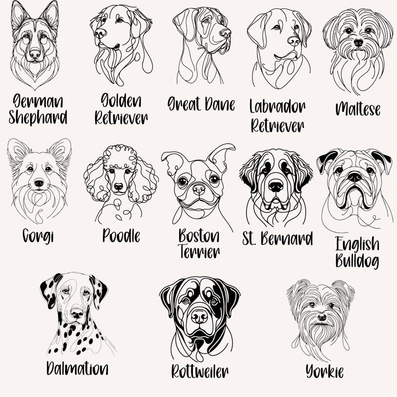 Puede incluir: Una colecci&oacute;n de dibujos lineales en blanco y negro de varias razas de perros, incluyendo un Pastor Alem&aacute;n, Golden Retriever, Gran Dan&eacute;s, Labrador Retriever, Malt&eacute;s, Corgi, Caniche, Boston Terrier, San Bernardo, Bulldog Ingl&eacute;s, D&aacute;lmata, Rottweiler y Yorkie. Cada dibujo est&aacute; etiquetado con el nombre de la raza.