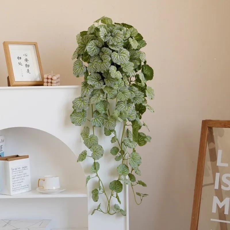 hängende blumentöpfe innen Gadgy Set 3 Stück Blumentopf Wand Keramik Hängeampel Wandvasen für Pflanzen Hängeblumentöpfe Wandpflanzenhalter Skandinavische Deko Wanddeko Flur ab 33,75 € (Oktober 2026) Gräser