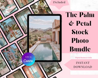 Lot de photos palmier et pétale