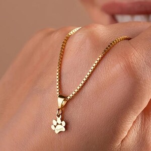 Könnte beinhalten: Eine goldfarbene Halskette mit feiner Kette und einem Pfotenabdruck-Anhänger. Der Anhänger trägt den eingravierten Namen "Tony". Ein schlichtes, elegantes Schmuckstück.