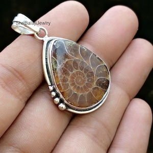 Op de afbeelding: Een druppelvormige hanger met een gefossiliseerde ammoniet ingekapseld in een helder, glanzend materiaal. De hanger is gezet in een zilverkleurig metalen frame en heeft een lus aan de bovenkant voor een ketting. De tekst "ShriBalajiJewlry" is zichtbaar.