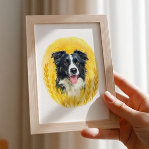 Op de afbeelding: Een ingelijste aquarel van een Border Collie-hond. De hond is zwart en wit met een roze tong, tegen een gele achtergrond. Het frame is van licht hout.