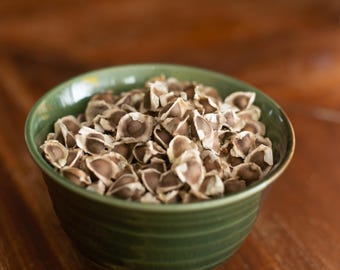 Graines de Moringa Oleifera – Non Traitées & Naturelles | Arbre Miracle à Planter | Superfood | Germination Facile