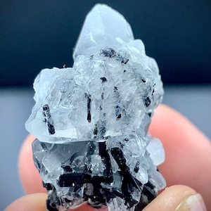 17 Gram Natural Black Tourmaline Crystals Intergrown with Multiple Terminated Quartz – Striking Contrast & Exceptional Clarity
