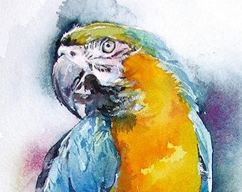 Macaw / 12" x 10" original watercolor painting