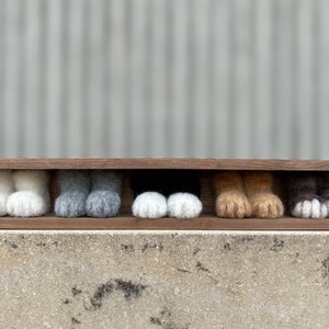 Needle-felted cat paw study in wooden box