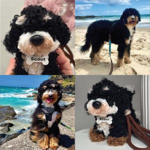 May include: Four images of a dog with a black, white, and tan curly coat. The dog wears a tag that reads "Scout". One photo shows the dog on a beach, and another shows a plush toy version of the dog.