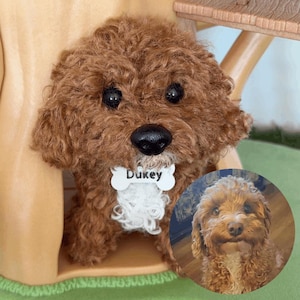 May include: A brown curly-haired plush dog toy with black eyes and a black nose. The toy wears a white bone-shaped tag with the name "Dukey" printed in black. A circular inset shows a photograph of a real brown curly-haired dog.