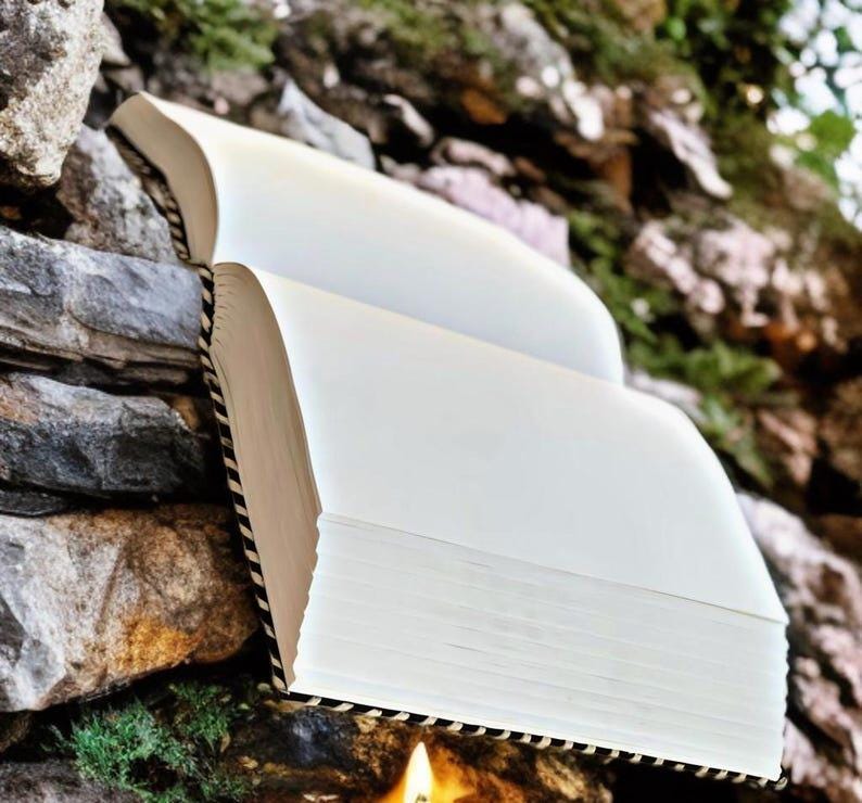 May include: A hardcover book with white pages is open, revealing a stack of blank pages. The book's spine has a black and white striped pattern. The book is resting on a stone surface with greenery in the background.