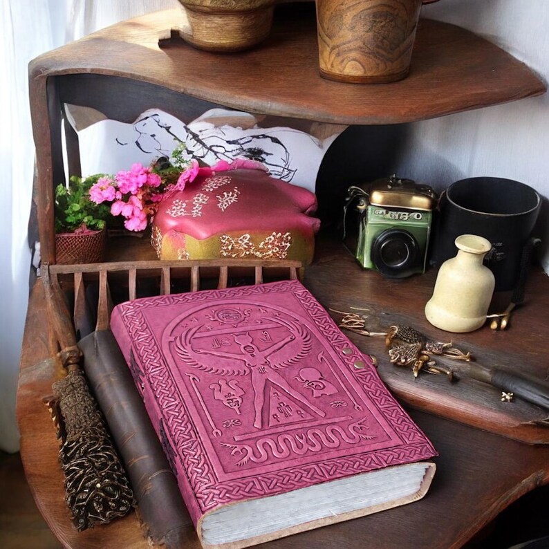 May include: A detailed shot of a wooden shelf displaying various items. A large, pink leather-bound book with an embossed design is in the foreground. Other items include a vintage camera, decorative vase, and a small potted plant.
