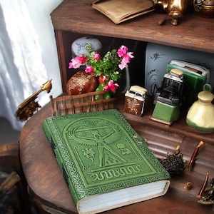 May include: A green leather-bound journal with an embossed design featuring a human figure and serpent. The journal is on a wooden surface, with other decorative items in the background, including flowers and small trinkets.