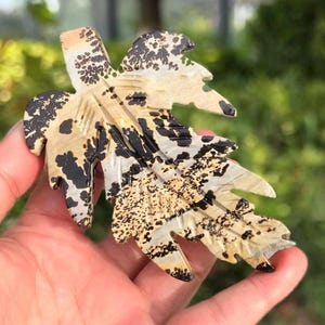 May include: A carved stone leaf sculpture with a naturalistic design. The leaf features a speckled pattern of black and tan colors, with detailed veining and a textured surface. The sculpture is held in a hand, showcasing its size and form.