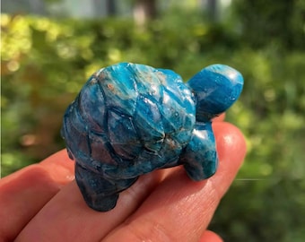 Blue Apatite Turtle Carving 4.5cm | Healing Crystal Figurine | Wisdom Stone