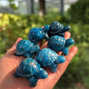 May include: A collection of six small, turquoise-colored turtle figurines. The turtles are carved from a stone material, with detailed shell patterns and visible legs and heads. The figurines are held in a hand, with a blurred green background.