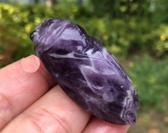 May include: A carved purple gemstone in the shape of an insect. The stone has a polished surface with white veining. The insect carving is held in a person's hand, with a blurred green background.