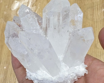 May include: A cluster of clear quartz crystals with sharp, pointed terminations. The crystals are translucent and appear to be resting on a white, textured base. The quartz is held in a hand, with a wooden surface in the background.