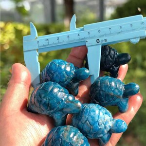 May include: A hand holds several small, blue turtle figurines. A light blue caliper is positioned above the turtles, with measurements visible. The turtles have detailed shell patterns and are a vibrant shade of blue.