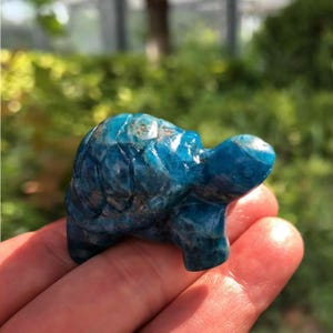 May include: A small, carved turquoise turtle figurine. The gemstone turtle has a detailed shell and is held in a hand. The sculpture is a vibrant blue-green color and is set against a blurred green background.