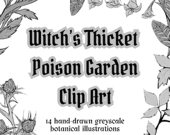 Poison Garden Clip Art PNG – Witch’s Thicket, 14 Hand‑Drawn Greyscale Poisonous Plants, Transparent