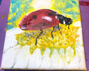Ladybug on A Daisy