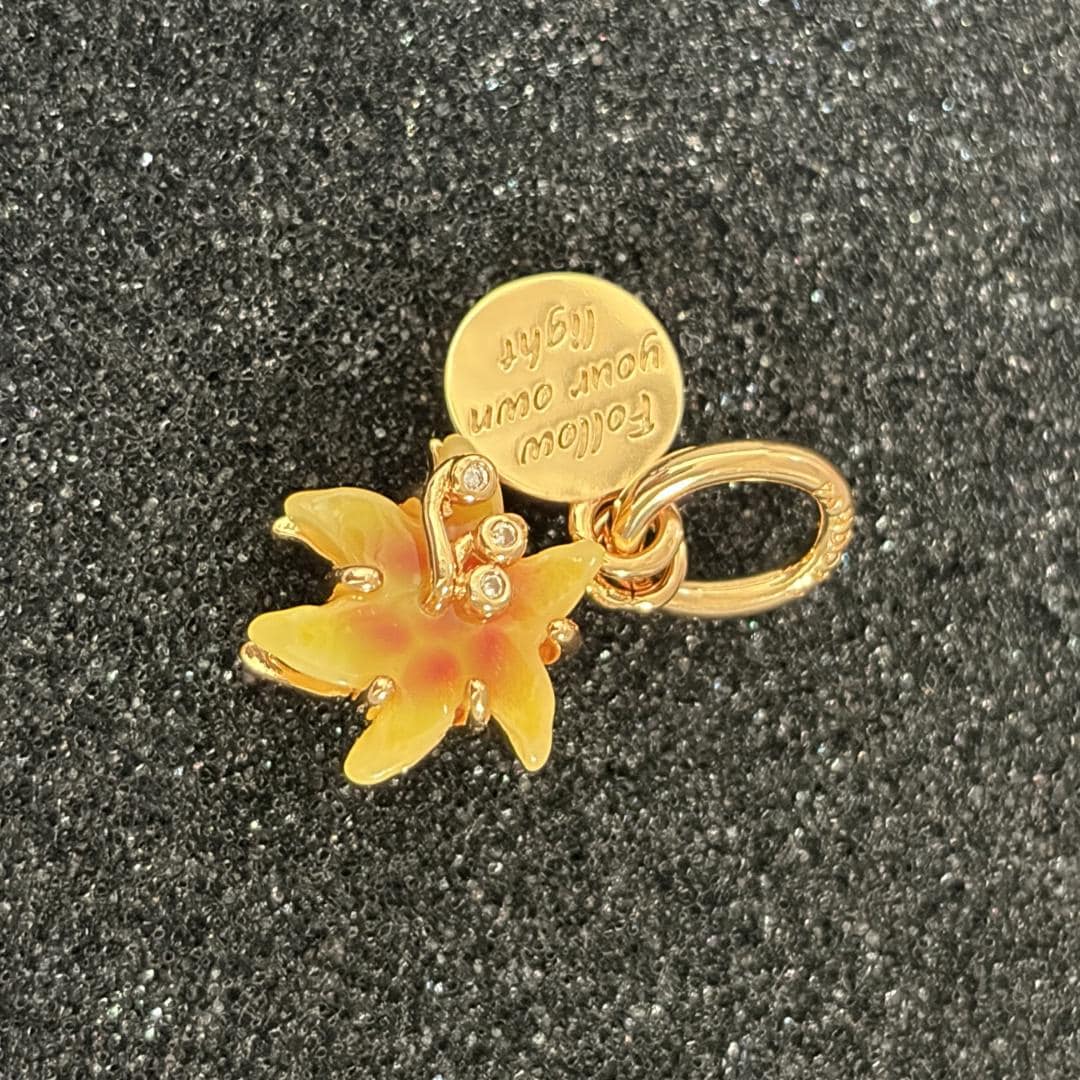 Rapunzel pandora charms - Etsy 日本