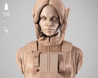 STL Model for Resin Printer Figure 3D Printing - High Quality Diorama