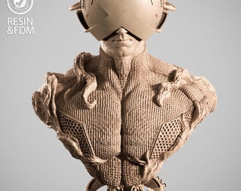 Modelo STL para impresión 3D de figuras en impresoras de resina - Diorama de alta calidad