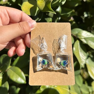 Weird Fishes in a Bag Dangly Earrings