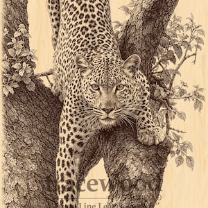 Leopardgravyr SVG, Leopard på träd digital nedladdning, Stor kattdjur, Vintage trägravyr PNG
