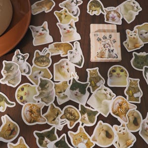 May include: A collection of cat-themed stickers in various poses and colors, including tabby, calico, and tuxedo cats. A small box with cat illustrations is also present. The stickers are scattered on a wooden surface.