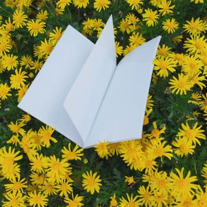 May include: An open, blank white book with several pages visible, set against a backdrop of vibrant yellow flowers and green foliage. The book's pages are crisp and clean, creating a contrast with the natural setting.