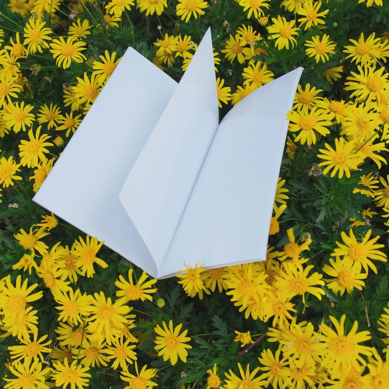 May include: An open, blank white book with several pages visible, set against a backdrop of vibrant yellow flowers and green foliage. The book's pages are crisp and clean, creating a contrast with the natural setting.