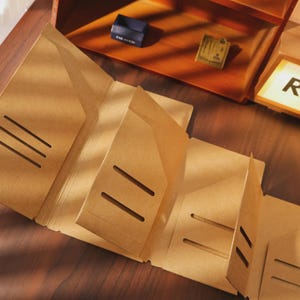 May include: A brown accordion file with multiple sections and cut-out slots. The file is open, displaying its interior structure. A wooden box with small items is in the background. The file is made of thick, textured paper.