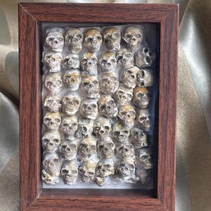 Gothic Skull Photo Frame, Halloween Horror Decor, Spooky Skeleton Ornament, Creepy Skull Frame，Hand-Painted 3D-Printed Resin Skulls