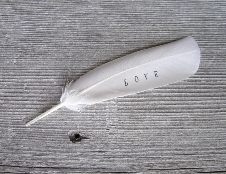 Angel Wings feather . feathers from heaven . feathers from above . memorial gift . guardian angel feather . white feathers . love feather image 4