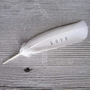 Personalized Small White Feathers , feather art , feather gifts , feather decor , framed feather , angel wings decor , angel feathers