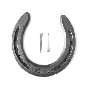 Personalized Horseshoe, lucky horseshoe, rustic wedding gift, iron anniversary gift, 6th anniversary gift, rustic wedding decor horse lover image 4