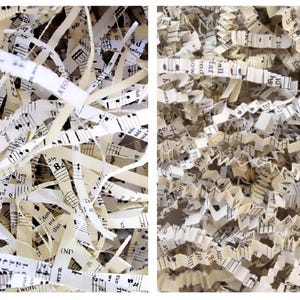 K&ouml;nnte beinhalten: Eine Ansammlung von geschredderten Papierstreifen mit aufgedruckten Noten und englischem Text. Die cremefarbenen Papierst&uuml;cke sind in geraden und gezackten Mustern geschnitten und bilden einen dichten, strukturierten Haufen aus F&uuml;llmaterial.