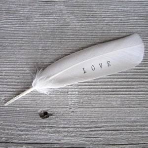 Angel Wings Feather . Feathers From Heaven . Feathers From Above . Memorial  Gift . Guardian Angel Feather . White Feathers . Love Feather 