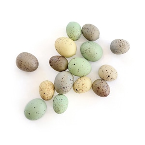Speckled Eggs . natural eggs . foam eggs . faux eggs . easter eggs . nest eggs . bird eggs . small eggs