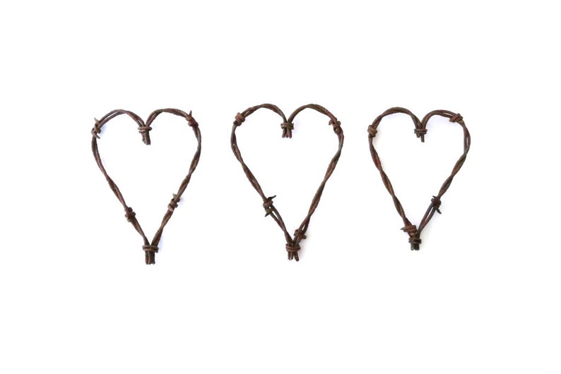 Rustic Heart Ornament , folk heart , barbed wire heart ornament , rusty christmas ornaments , rustic ornaments , southwestern ornaments image 5